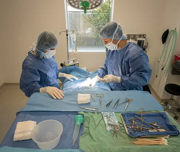 Dr. Kramer performing surgery